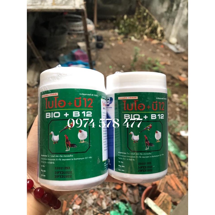 Bio B12 Nuôi gà mau lớn