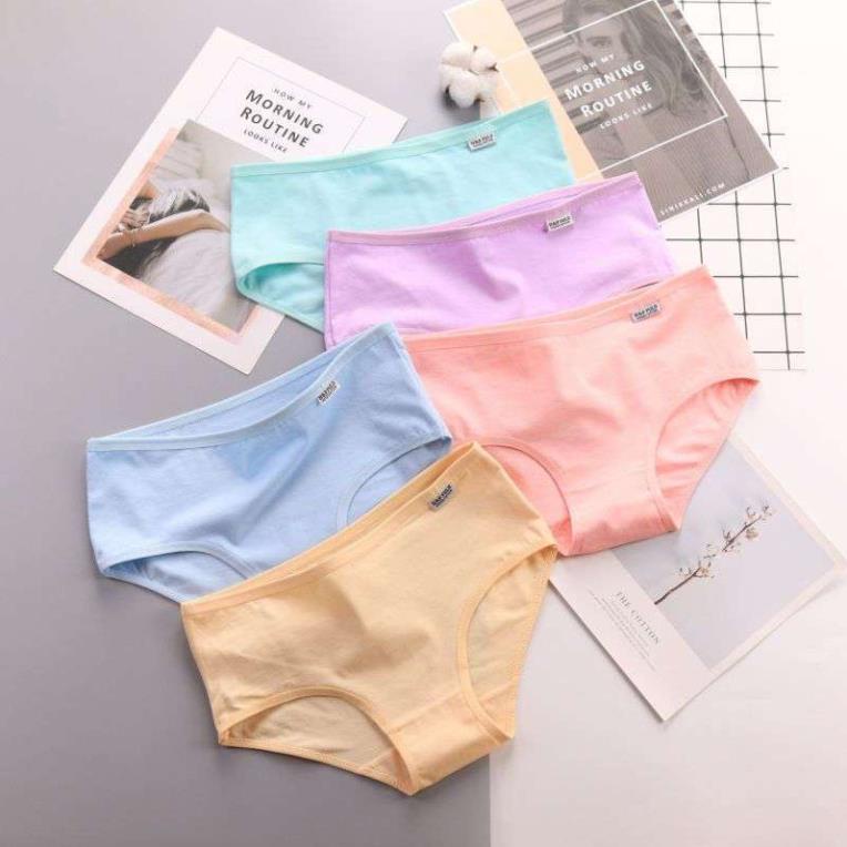 [Giá sỉ] Set 10 Quần Lót Cotton Pulo Xuất Mỹ