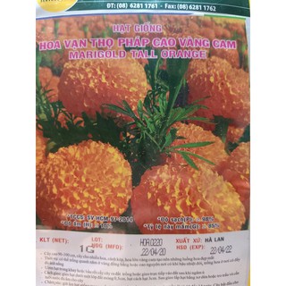 Hạt giống hoa vạn thọ Pháp cao vàng cam