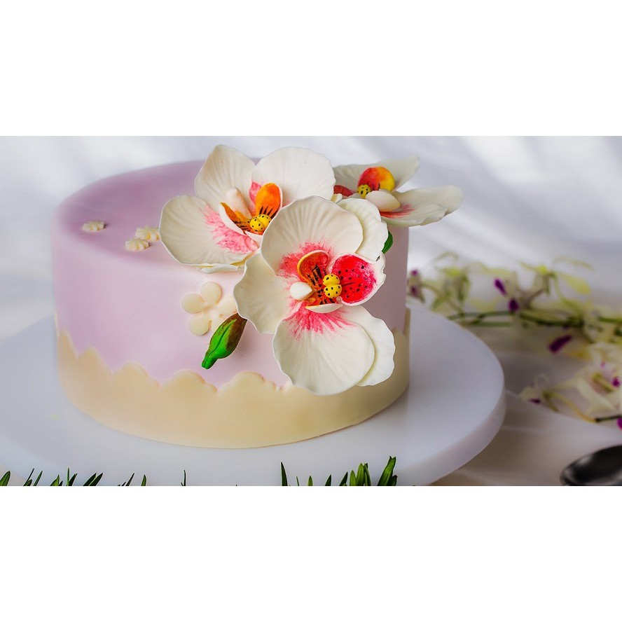 BỘ DỤNG CỤ TẠO HÌNH FONDANT 8 QUE