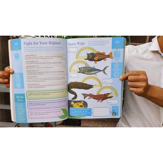 Bộ nhập 6q - Summer brain quest