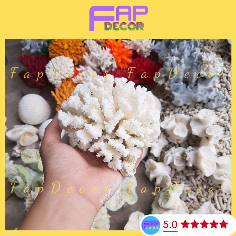 Chùm Bông Rạn Biển Siêu Xinh Trang Trí Hồ Cá, Làm Thủy Sinh, Làm Chùm Bông Để Bàn, Decor Nhà Cửa - FapFood