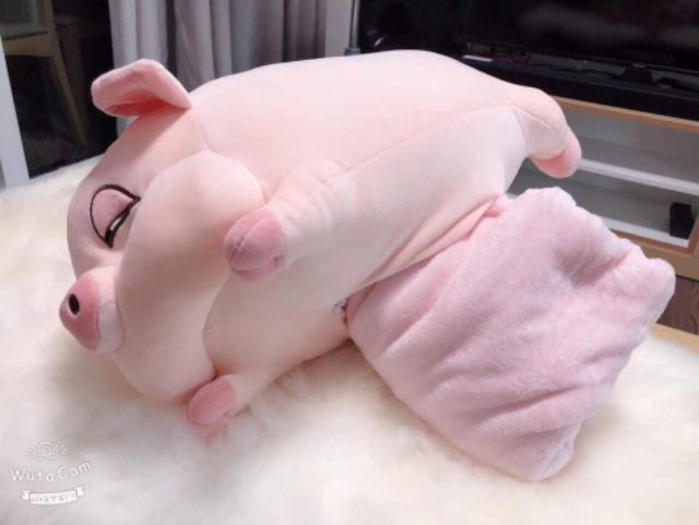 Chăn thú 2 trong 1 dùng cho bé hoặc công sở