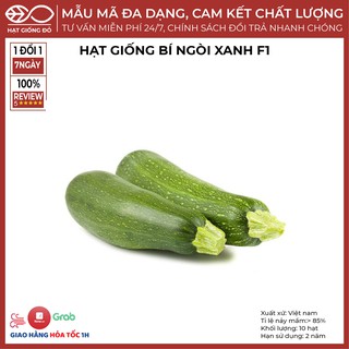 Bí Ngồi Xanh F1 VN010 (10 hạt) - Cây sinh trường phát triển khỏe, kháng bệnh tốt, năng suất cao, trái thuôn dài 15-20cm