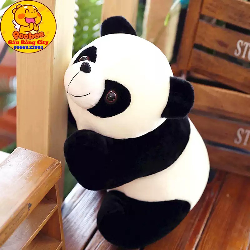 Gấu Bông Gối Ôm Gấu Trúc Panda Dễ Thương Quà Tặng Cao Cấp