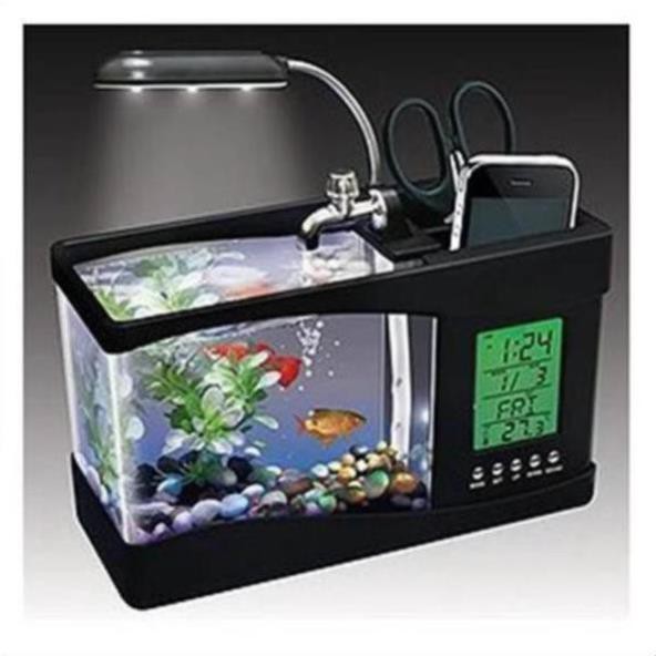 Hồ cá mini để bàn Free ship đồ chơi phong thủy cho bạn không gian thư giãn trong căn phòng của mình