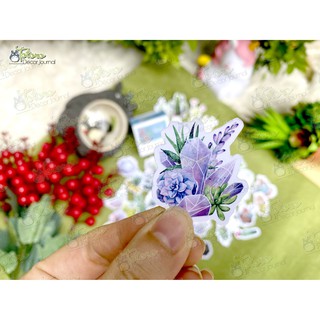 Hộp sticker Watercolor Cactus