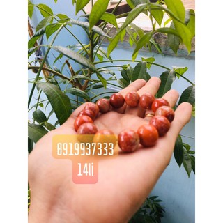 Vòng san hô ( nhiều size )