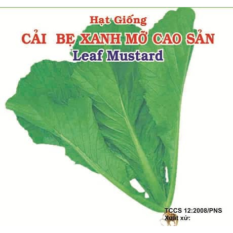 Hạt giống cải bẹ xanh Leaf Mustard Phú Nông gói 20gr, hạt giống chắc khỏe, tỉ lệ nẩy mầm cao