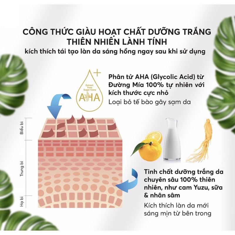 Combo Tẩy Da Chết, Ủ Trắng Da, Kem Dưỡng Toàn Thân Felina Chính Hãng Công Ty