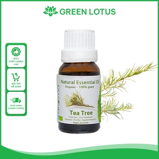 Tinh Dầu Tràm Trà Aroma Nguyên Chất Nguồn Gốc Thiên Nhiên - Tea Tree Essential Oil GL16- Sen Xanh Store thumbnail