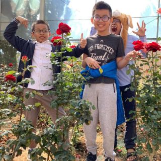 Quần nỉ cho bé trai 5-16T