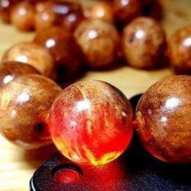 Vòng huyết long hay vòng huyết rồng
