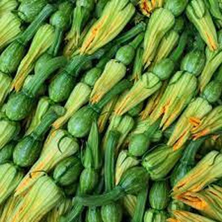 Hạt giống bí nụ