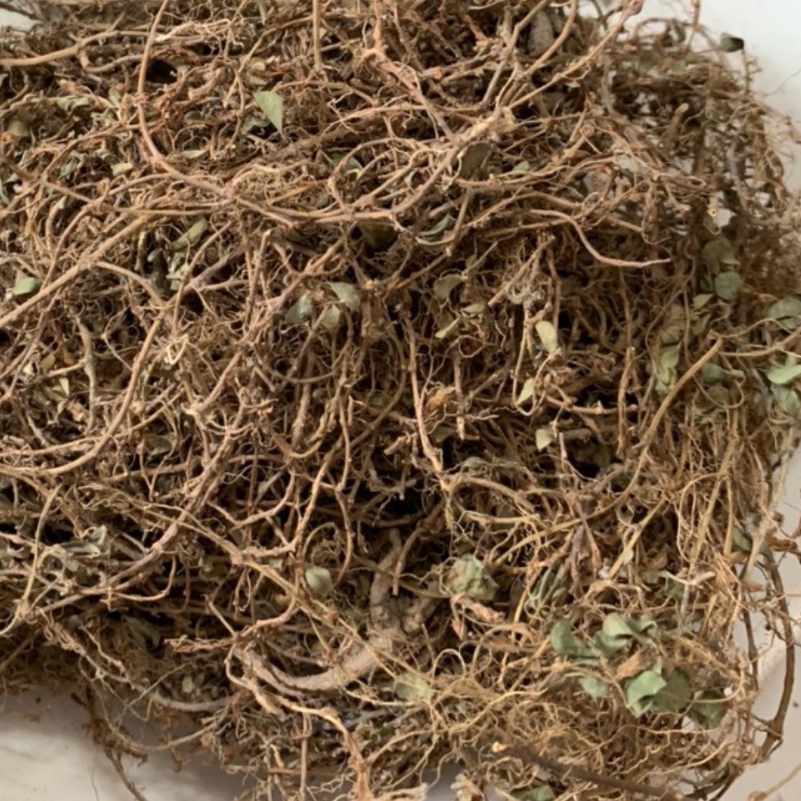 Cây Hàn The 1Kg Phơi Khô Tự Nhiên Hỗ Trợ Tiểu Đường, Tiểu Gắt, Hàng Loại 1 Chất Lượng | Thảo dược An Quốc Thái