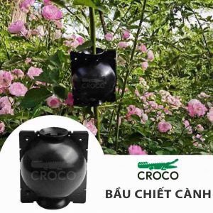 Bầu chiết cành cây tiện dụng, đủ size chính hãng