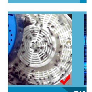 máy bắt ruồi
