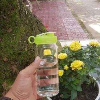 Combo 5 Bình thủy tinh