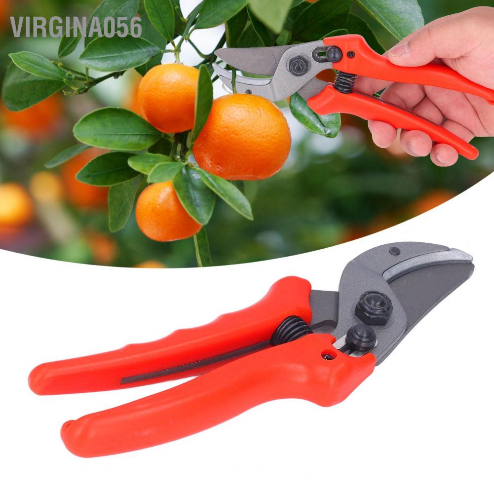 Có thể bán buôn Làm vườn kéo cắt cành trái cây kéo cắt tỉa dụng cụ làm vườn kéo cắt tỉa cành Virgina056 Hàng giao ngay