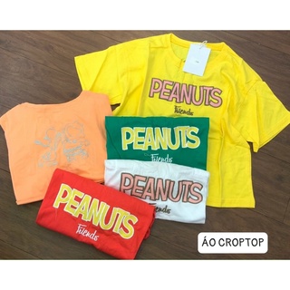 Áo thun croptop chất đẹp phom rộng