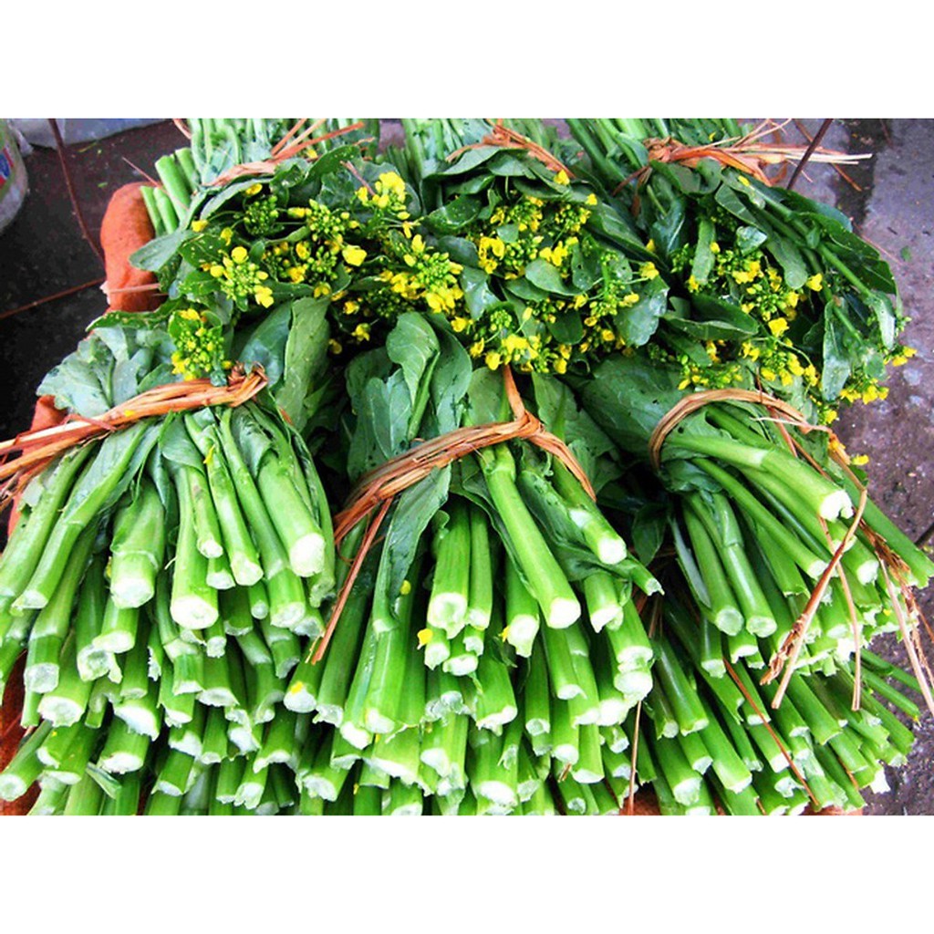 [Rẻ Vô Địch] Hạt Giống Cải Làn Hoa Vàng