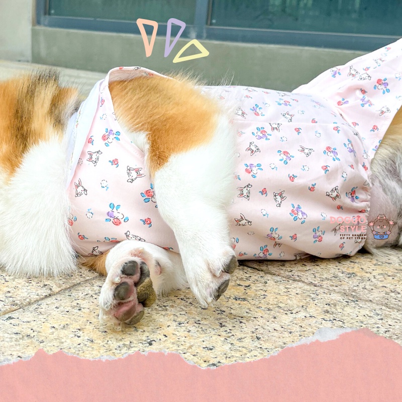 Áo Váy Thun Ba Lỗ DoggoStyle Vải Cotton Co Giãn Mùa Hè Cho Chó Lớn Size Bự Corgi Bull Pháp Pug Mặt Xệ Lạp Xưởng