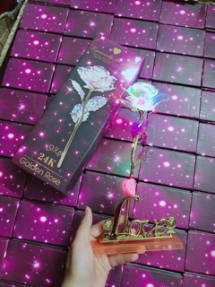 Hoa Hồng Galaxy Phát Sáng