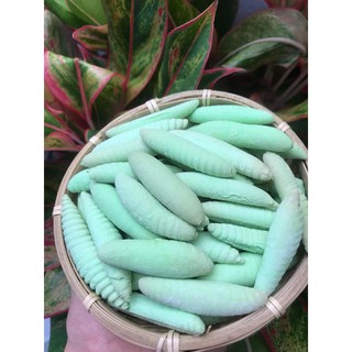 Bánh Con Sùng Dứa - Siêu Thơm Ngon