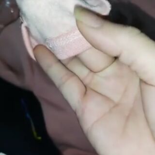 Combo bộ đồ cho khách