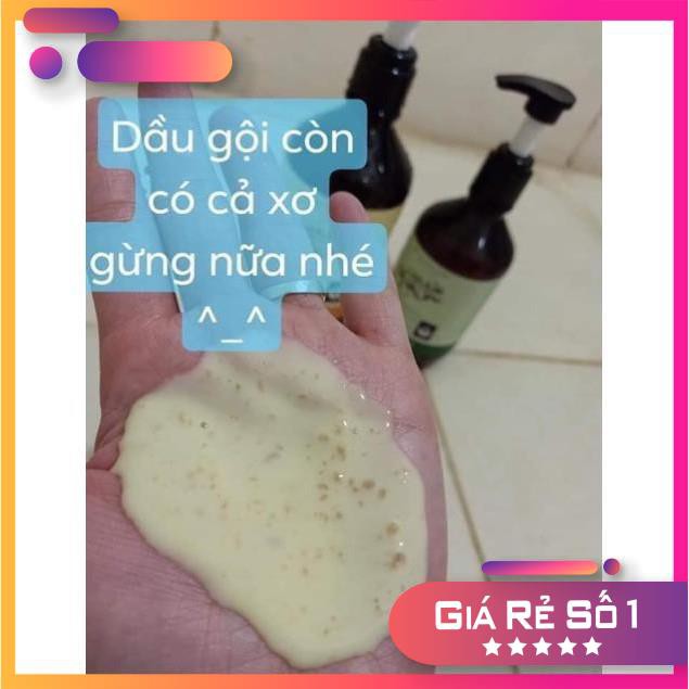 Combo Dầu gội và dầu xả gừng tươi nguyên chất 100% | BigBuy360 - bigbuy360.vn