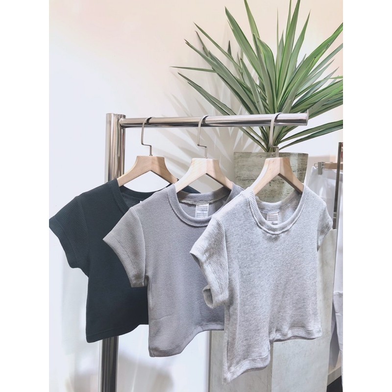 [Mã WAMT10K giảm 10k cho đơn 0k] CESAR LISA TOP (ÁO GROPTOP TRƠN) | BigBuy360 - bigbuy360.vn