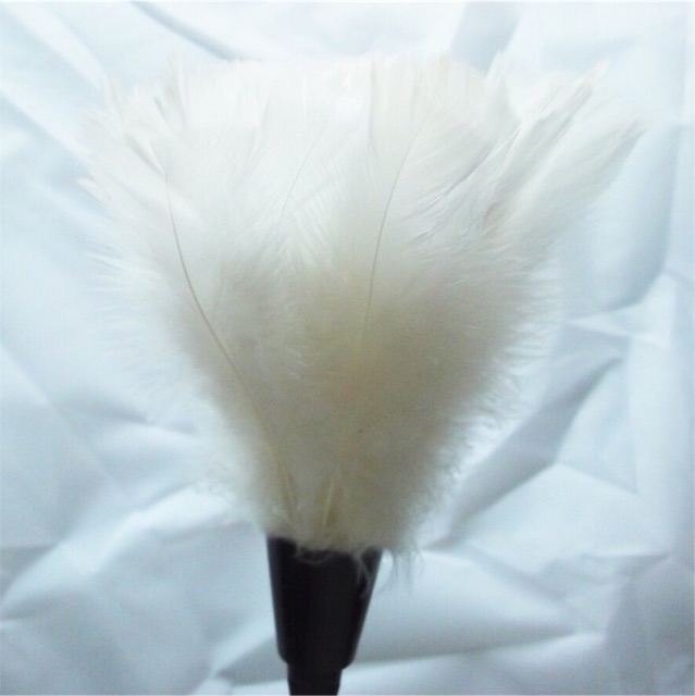 Cây lông vũ (hoá trang bộ hầu gái) (Ảnh thật) | BigBuy360 - bigbuy360.vn