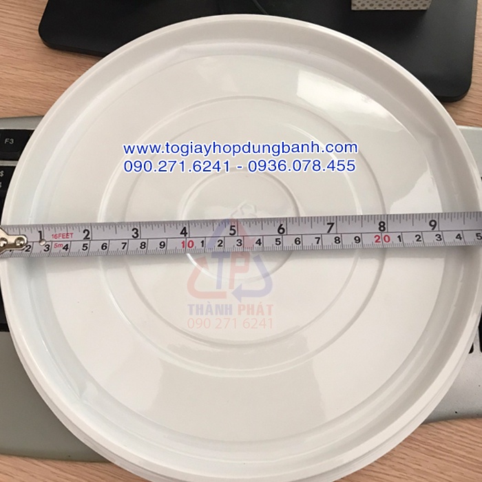 10 Hộp H122 đựng rau câu cá chép 24cm - bánh bông lan lớn