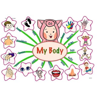 Mindmap 11 chủ đề A3