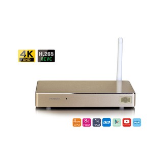 TiVi Box Androi Hmedia Q1
