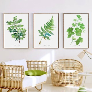 Bộ 3 tranh treo tường Green Tropical