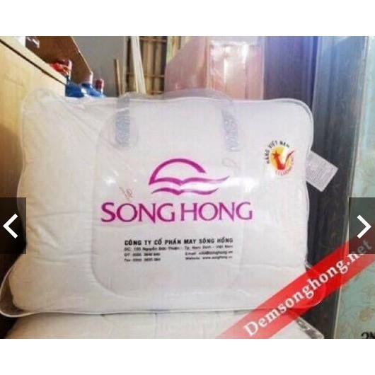 [Shopee giá rẻ] Ruột chăn Sông Hồng kích thước 2mx2m2