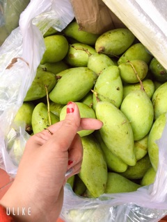 Nước chấm xoài 500ml