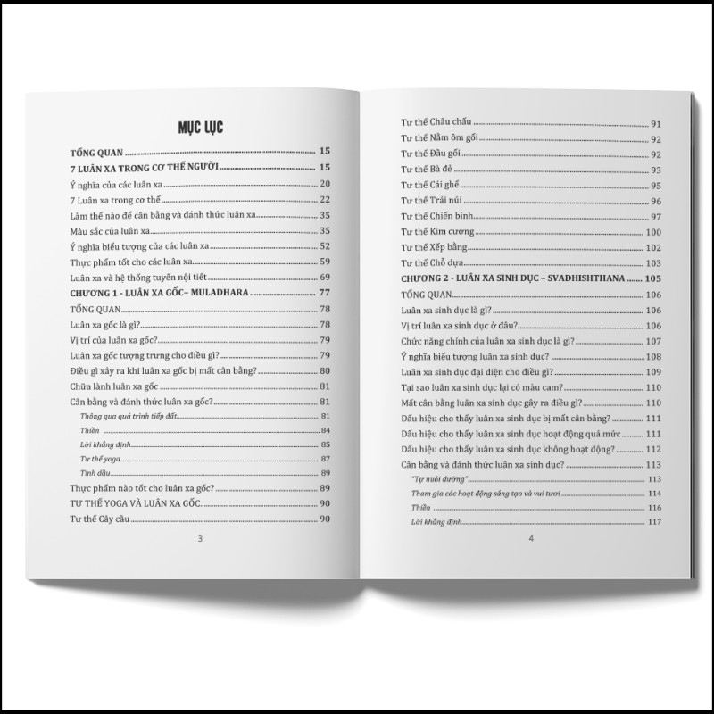 Sách - Cân bằng và đánh thức luân xa