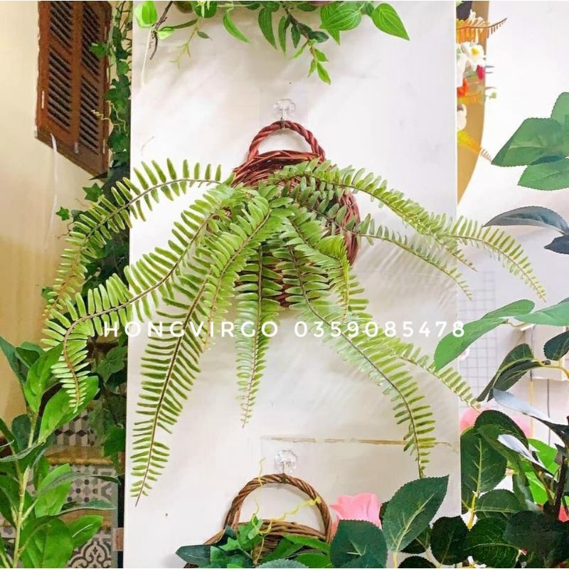 👉 Cây Dương Xỉ Giả Loại đẹp giống thật đến 99%