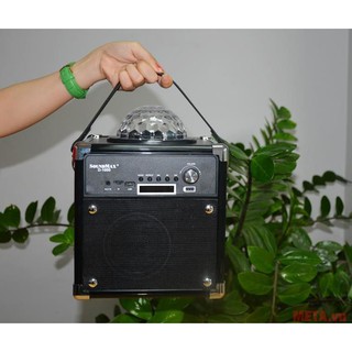 Loa vi tính SoundMax D1000