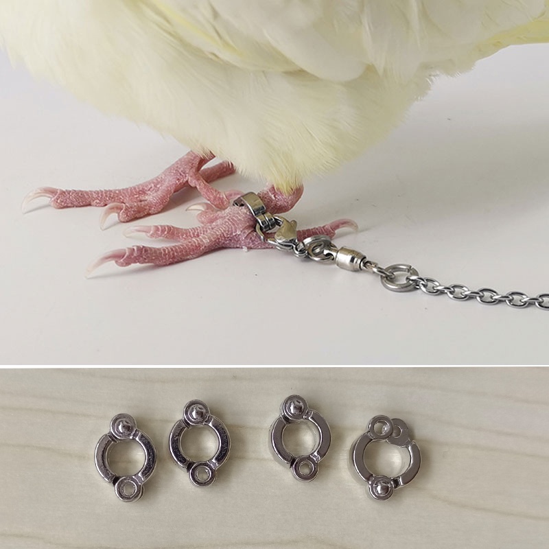 6mm  Vòng Chân Chim-Vòng Đeo Chân Có Chống Lạc Tiện Dụng Cho Thứ Cưng Chim Vẹt