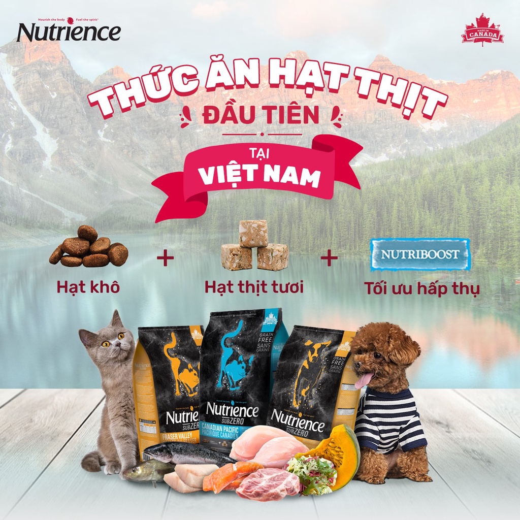 [DINH DƯỠNG CAO] BAO 500G HẠT CHO MÈO NUTRIENCE SUBZERO CAT VỊ CÁ BIỂN - HẠT CHO MÈO CAO CẤP