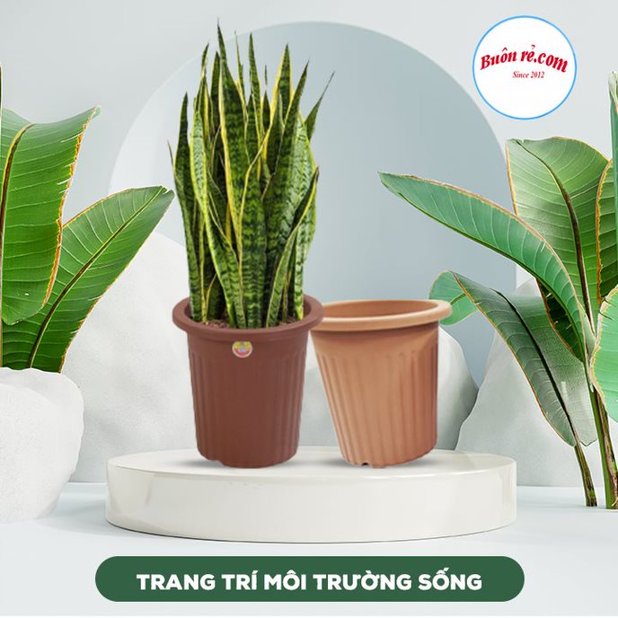 Chậu hoa tròn nhựa Việt Nhật (MS:2287) - Chậu cây trang trí tạo không gian xanh cho nhà cửa 01537