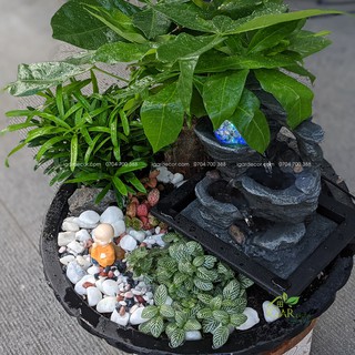 Thác nước tiểu cảnh – Ghềnh Thác