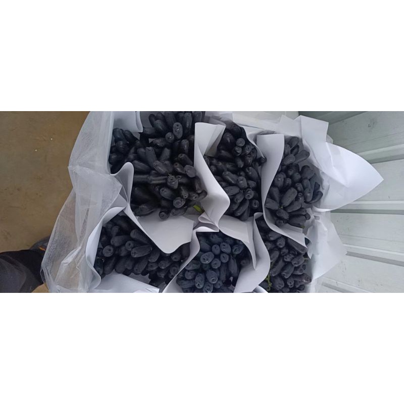 HCM Free Ship - Nho Ngón Tay Úc Hàng Siêu Vip Hộp 1Kg