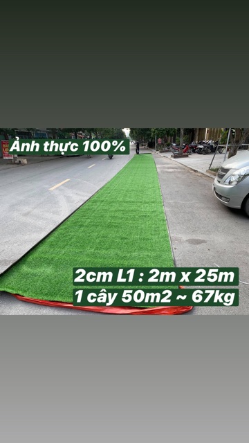 Thảm cỏ nhân tạo 2cm ( 1 cây 50m2 )