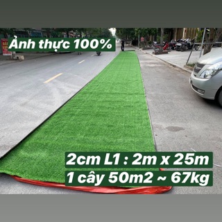 Thảm cỏ nhân tạo ( 1 cuộn 50m2 )