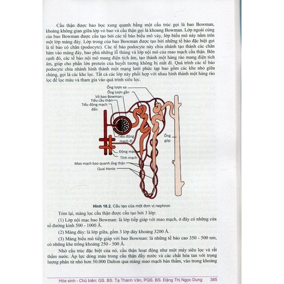 Sách - Hoá sinh 2022