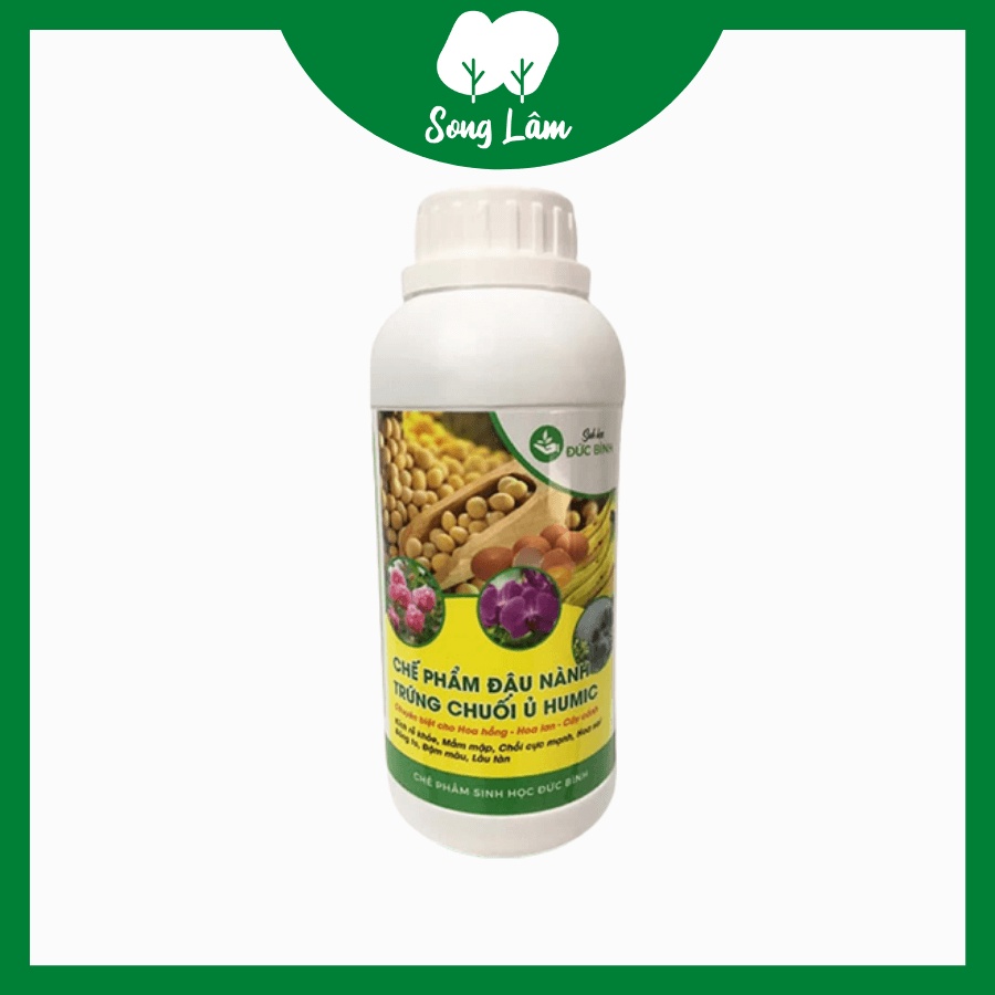 Phân chuối trứng sữa đậu nành ủ humic Đức Bình bón cây bổ sung đạm, kali cho hoa lan, hoa hồng, cây cảnh, rau củ quả